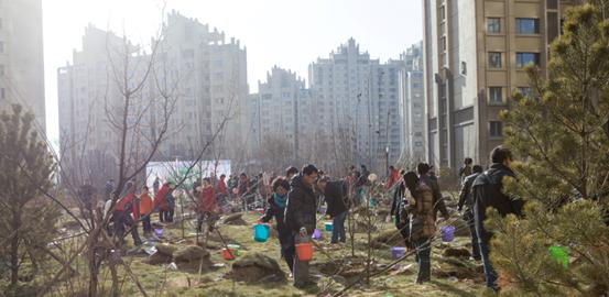 贺呼市凯发k8·凯旋门“我与小树共生长”树木认养运动圆满乐成